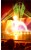 menu_037_8_nightshow